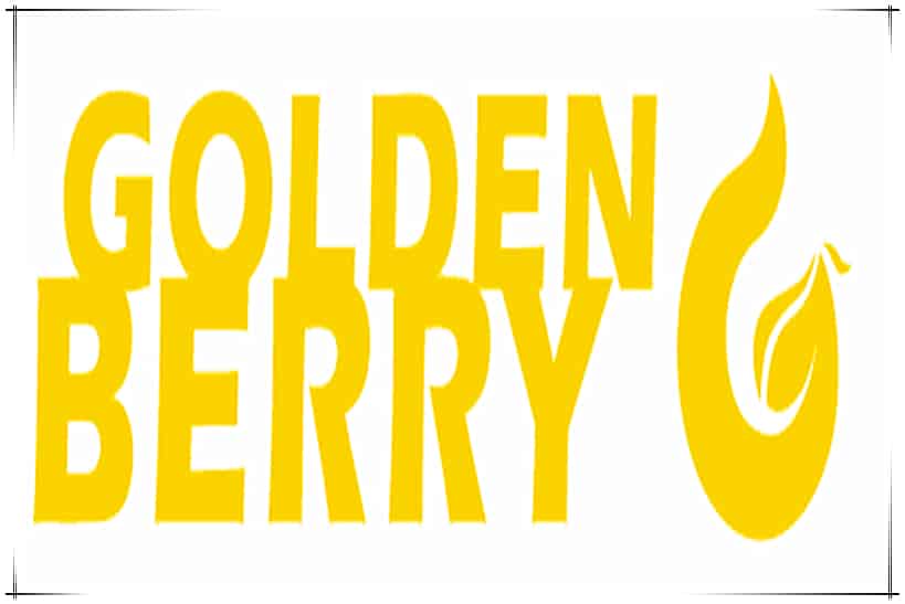 J9九游会·AG(中国)官方网站：上海光栅：从微观世界到宏伟未来